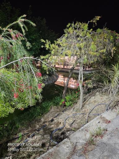 عکس باغ رستوران ویکتوریا