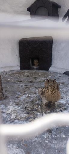 عکس باغ پرندگان فدک 