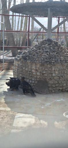 عکس باغ پرندگان فدک 