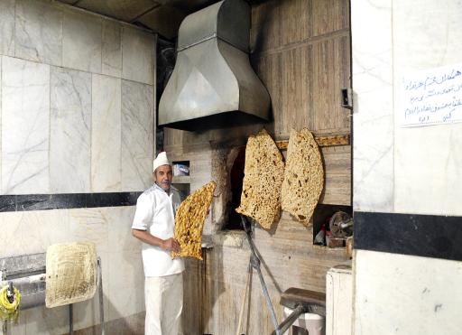 عکس طباخی لاله