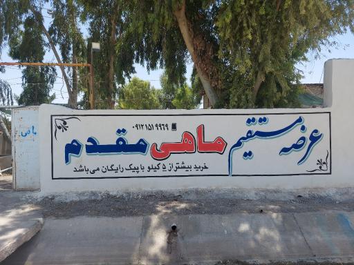 عکس مزرعه پرورش ماهی و اردک مقدم