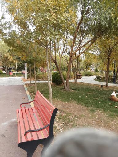 عکس بوستان ولایت