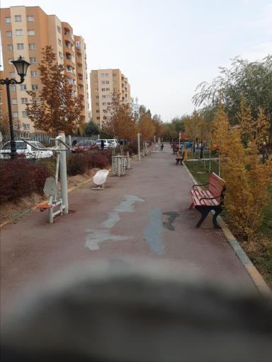 عکس بوستان ولایت