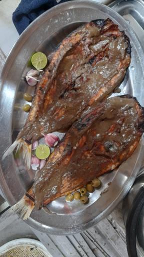 عکس کته کبابی خان بابا