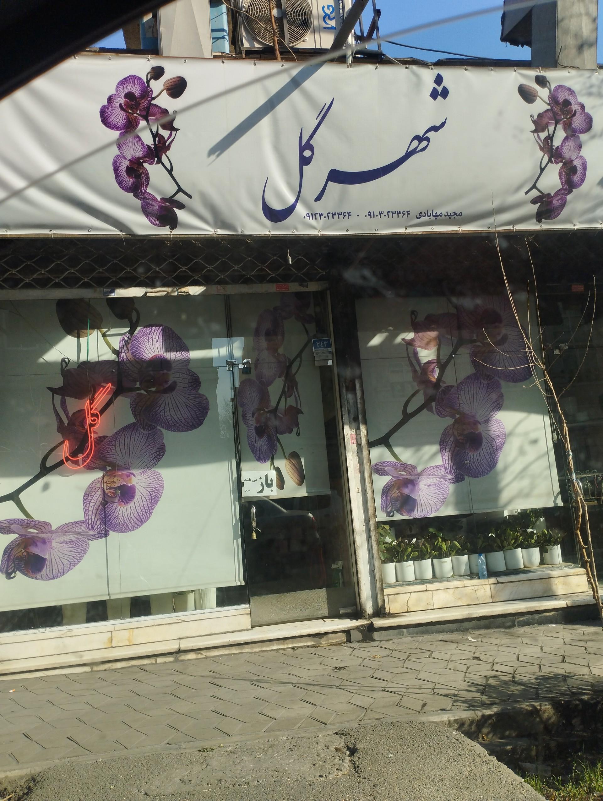 عکس گل‌فروشی مهابادی