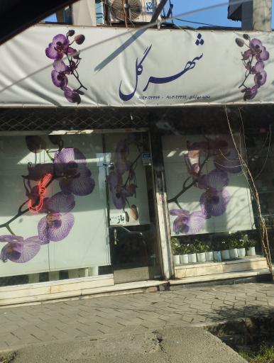 عکس گل‌فروشی مهابادی