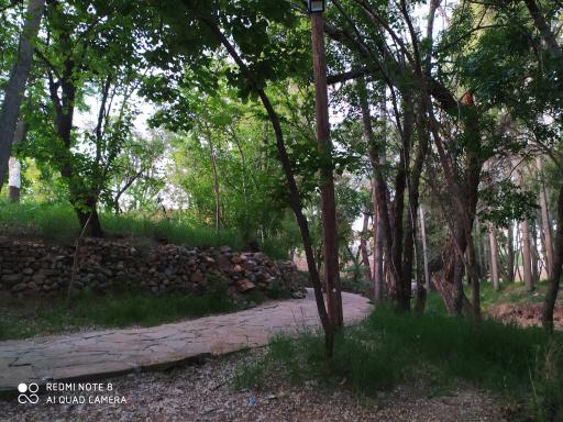 عکس پارک جنگلی کنار بر تفرش