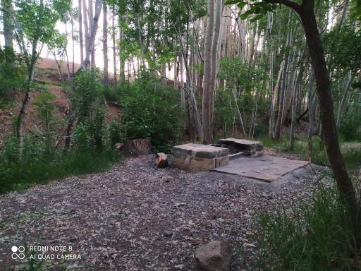 عکس پارک جنگلی کنار بر تفرش