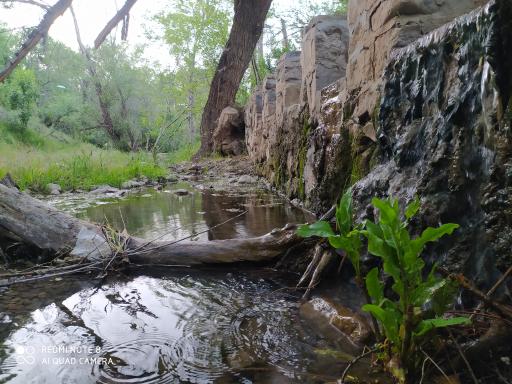 عکس پارک جنگلی کنار بر تفرش