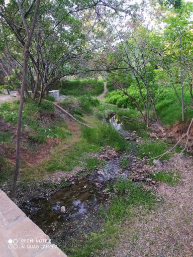 عکس پارک جنگلی کنار بر تفرش