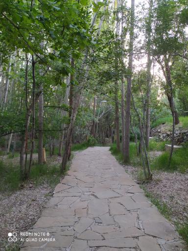 عکس پارک جنگلی کنار بر تفرش