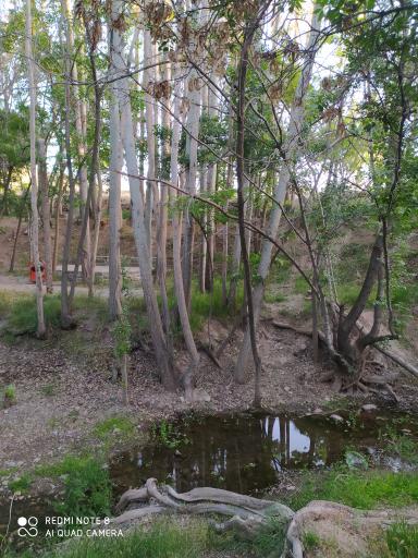 عکس پارک جنگلی کنار بر تفرش