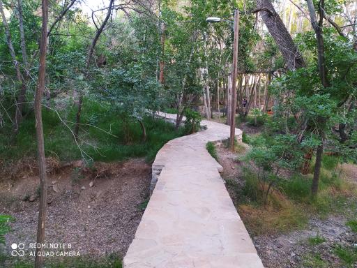 عکس پارک جنگلی کنار بر تفرش