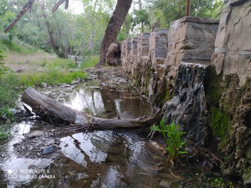 عکس پارک جنگلی کنار بر تفرش