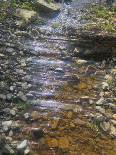 عکس پارک جنگلی کنار بر تفرش