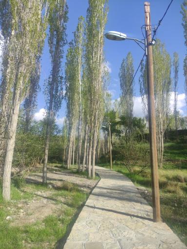 عکس پارک جنگلی کنار بر تفرش