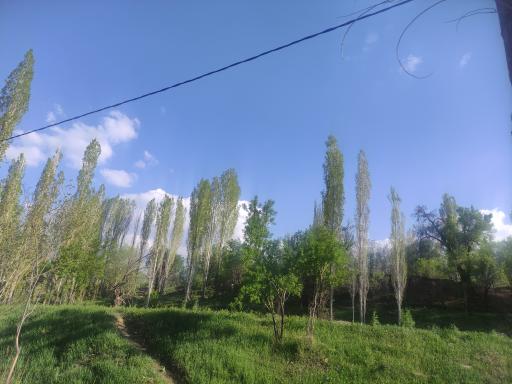 عکس پارک جنگلی کنار بر تفرش