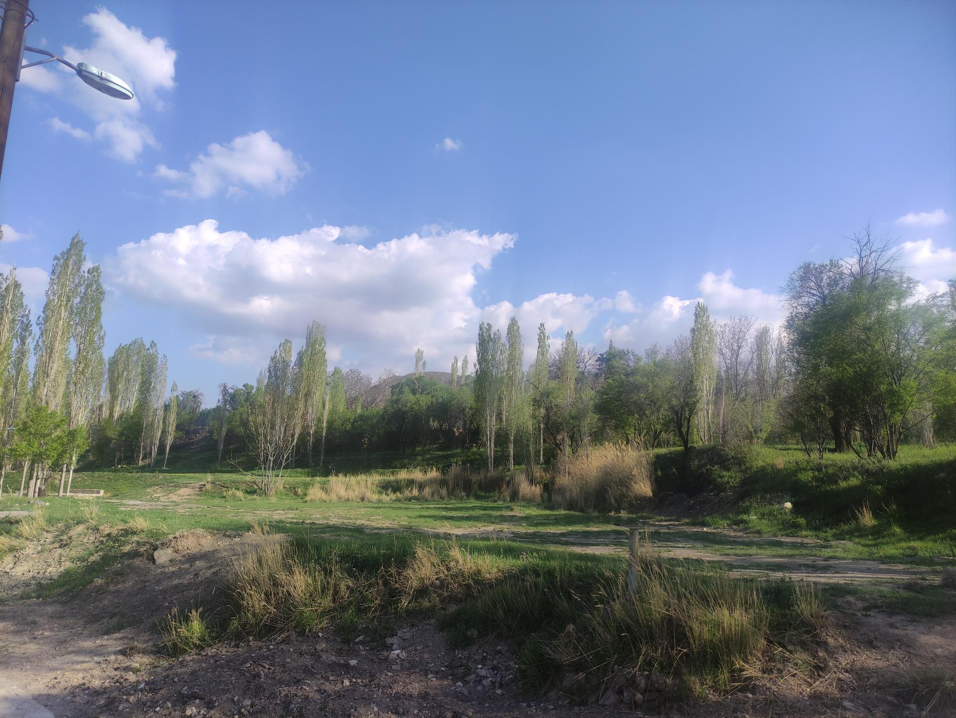 عکس پارک جنگلی کنار بر تفرش