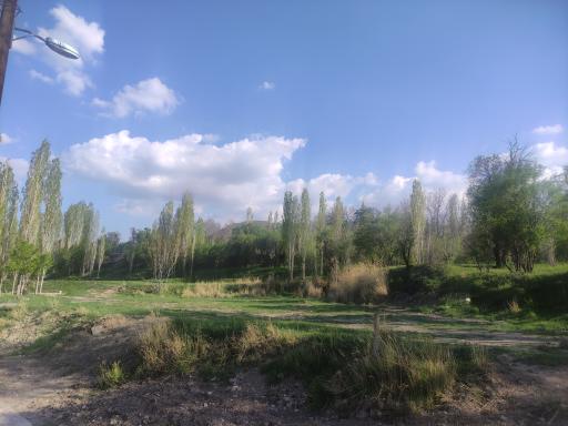 عکس پارک جنگلی کنار بر تفرش
