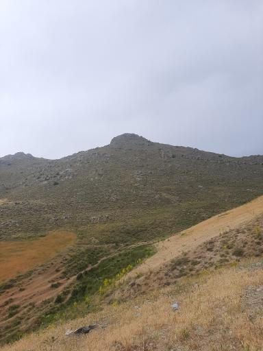 عکس چاپان