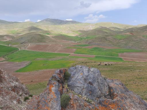 عکس چاپان