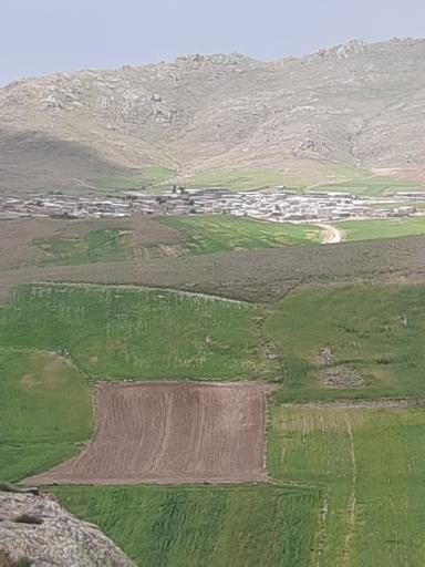 چاپان