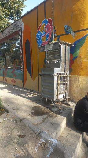 عکس آب خوری