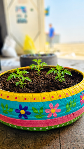 عکس هایپر کشاورزی جهانی