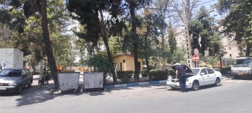 عکس بوستان یاس