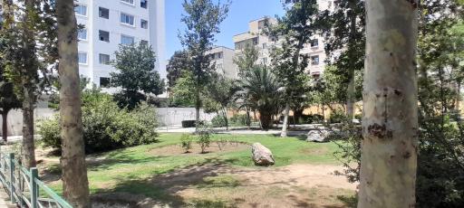 عکس بوستان یاس