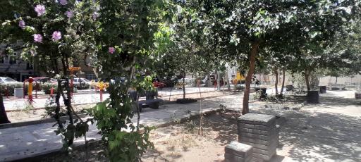 عکس بوستان یاس