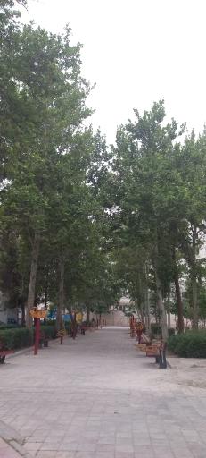 عکس بوستان یاس