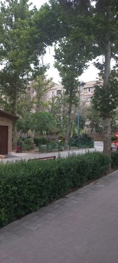 عکس بوستان یاس