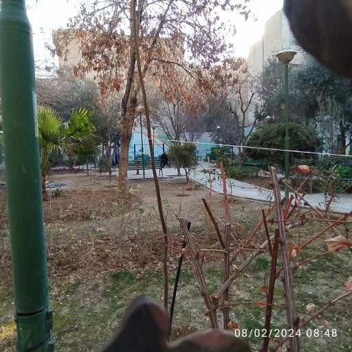 عکس بوستان شیخ‌هادی