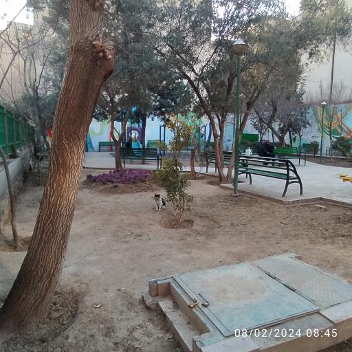 عکس بوستان شیخ‌هادی