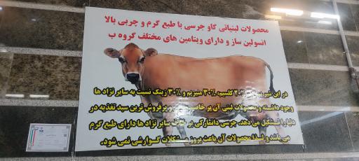 عکس بستنی عمو حسن