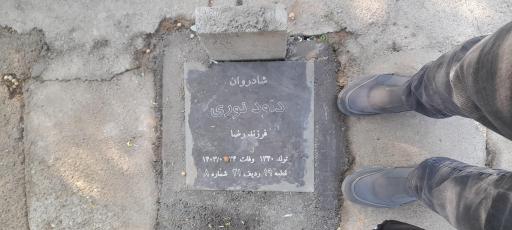 عکس مزار دکتر داود نوری