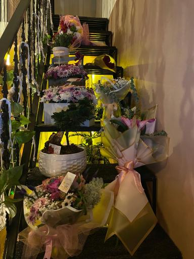 عکس کافه بوهو