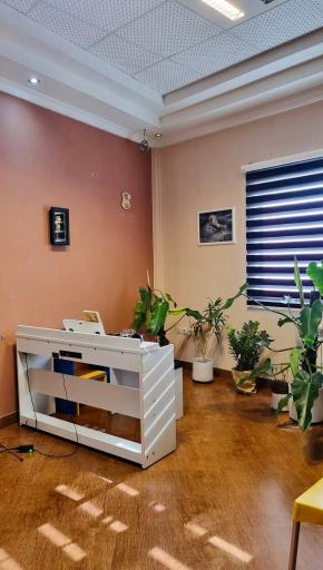 عکس آموزشگاه موسیقی شقایق