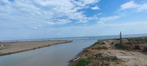 عکس رودخانه زردی