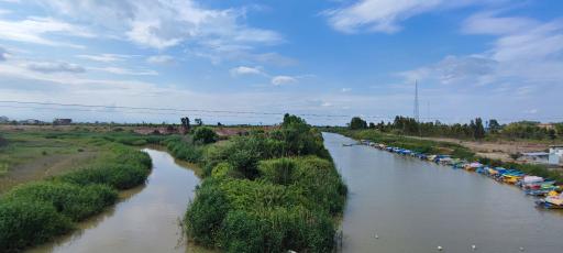 عکس رودخانه زردی