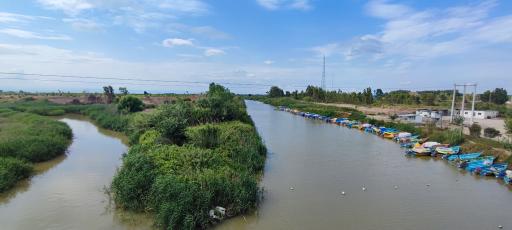 عکس رودخانه زردی