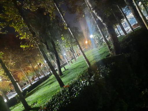 عکس بوستان ساحلی کلیشاد