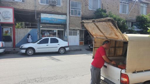 عکس داروخانه دامپزشکی دکتر تورانی
