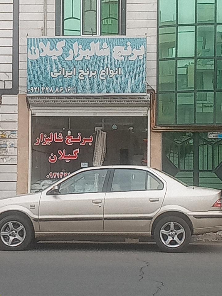 عکس برنج شالیزار گیلان