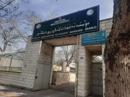 عکس موسسه تحقیقات کشاورزی دیم کشور 