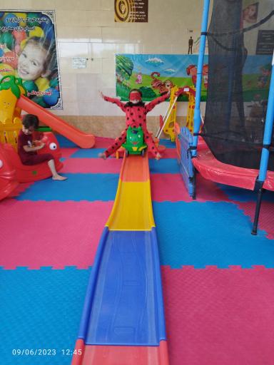 عکس مجموعه بازی شیدشاد