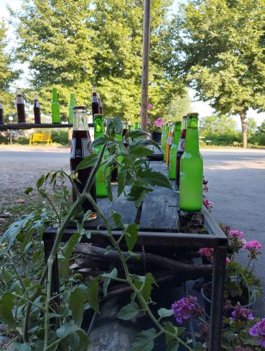 عکس غذاخوری ستاره شبها