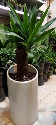 گل فروشی بوژان