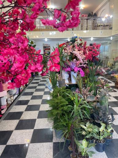 عکس گل پاپاتیا